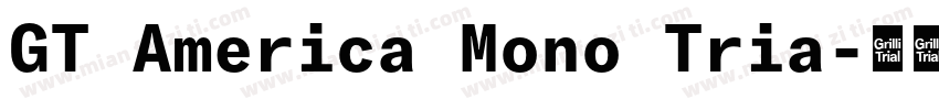 GT America Mono Tria字体转换